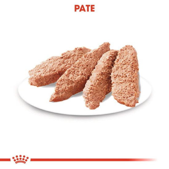 Royal Canin Urinary Care All Sizes – Hrană Umedă Pate pentru Câini – 85 g